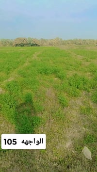 الفلوجة الازركية • طابو زراعي • ٦ دونم