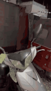 ماكس ثعلب • جديده • لون رصاصي