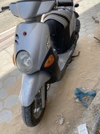 فلة • كفالة عامة • نضيفة