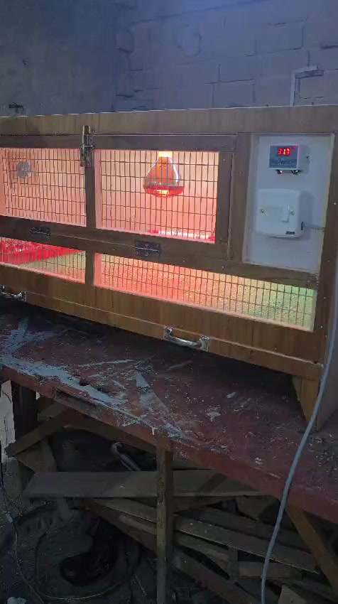 السلام عليكم
عمل حاضنات افراخ حسب الطلب
ارتفاع ٦٠ نزال ٦٠ واجهية ١٢٢
جهاز تحكم حرارة
مصباح الأشعة الحمراء
الماء طوافات
معلف
جرار تنضيف
البصرة الزبير للطلب والاستفسار ***********
