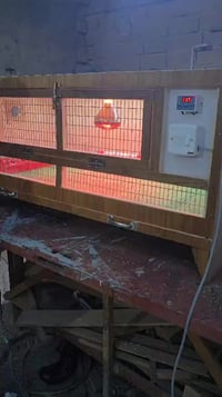 حاضنات افراخ • ٦٠×٦٠×١٢٢ • البصرة الزبير