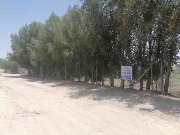 سياج PRC واشجار يحتوي علي نهر داخلي

***********
