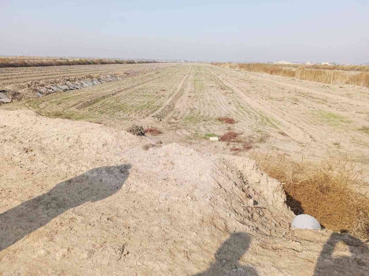 22دوانم لأصحاب المزارع 
السعر 15 مليون للدونم الواحد بي مجال بسيط 
طابو زراعي سند 25 اصولي فتح بيان
تبعد عن السوك وبنات الحسن 5 دقيقه
العنوان سبع البور ذراع دجله منطقة الشيخ عامر 
بلعيساويه عبور الجسر الثاني كامله من كلشي
تبعد عن سبع البور 15 دقيقه
 خدمات كامله كهرباء قريبه مي سقي
تلفون ***********

 متوفر واتساب نفس الرقم
