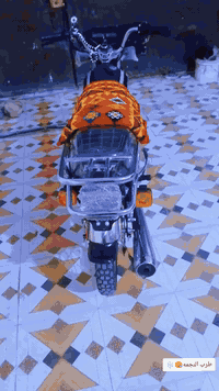 نامه متياز
مديل 23 طالعه ب25
لون اسود بس مدله احمر للجماليه
اوراق اصولي  وكيله حمودي العارضي مداور بسمك نفس اليوم 
دراجه خير من الله كهرباءيات كله جديد وكلشي شغال بيه ماعايزه ولا ربع
قفل بدون عمله 950
من دكلي 949مابيع
مكان نجف مشخاب ***********
