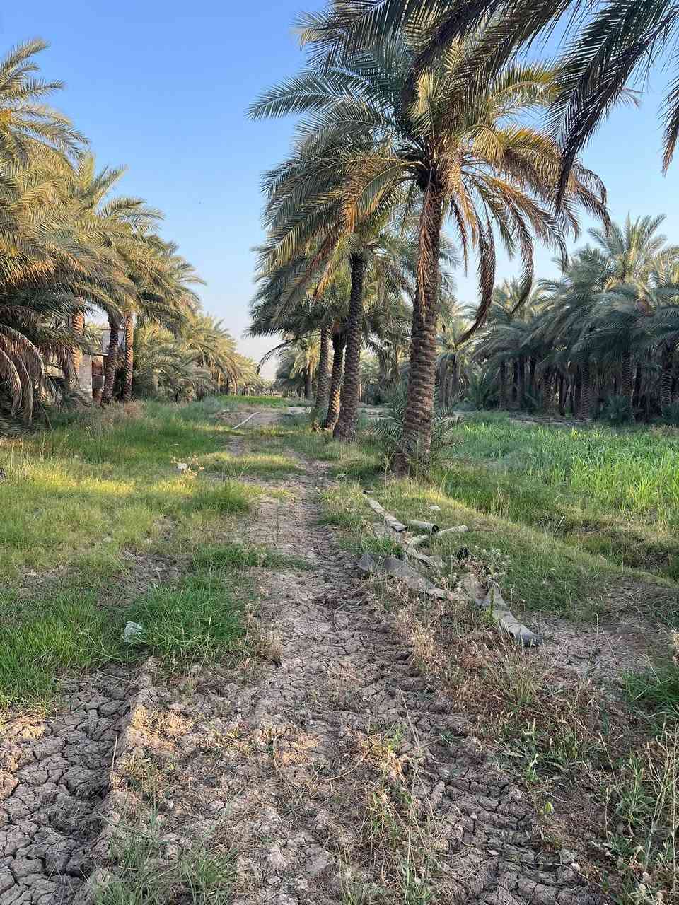 السلام عليكم 8 دونم للبيع طابو زراعي سند 25 تحويل مباشر✅✅
العنوان كربلاء طريق طوريج بسايد الخروج عامود 265 ✅

واجه الارض 35 متر ✅✅

الارض مخدومه ✅✅

الارض تصلح الاستثمار او سكن كولشي تصلح ✅✅✅

للأستفسار آكثر الأتصال على أرقآم التأليه 

0️⃣7️⃣7️⃣2️⃣5️⃣9️⃣8️⃣1️⃣9️⃣4️⃣5️⃣ابو باقر

0️⃣7️⃣8️⃣0️⃣8️⃣9️⃣9️⃣8️⃣8️⃣1️⃣8️⃣

0️⃣7️⃣7️⃣1️⃣9️⃣8️⃣0️⃣8️⃣1️⃣6️⃣5️⃣ابو علي 

وكذالك نستقبل جميع العروض لديكم في كافه مناطق كربلاء المقدسه ✅

#الجميع


**إذا كنت صاحب هذا الإعلان وتريد حذفه لأي سبب، رجاءا أرسل رسالة إلى الدعم الفني**