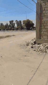 طوريج الرجيبة • ٣دار • ٥٠٠م