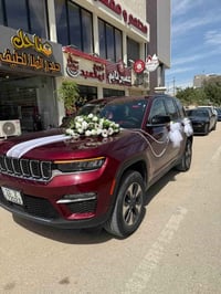 جيب ٢٠٢٤ • دفع رباعي • حادث قطعتين صبغ