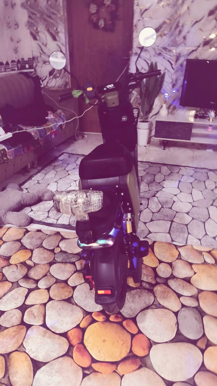 دراجة 🔋⚡شحن لبيع مو شراي لا تعبني دراجة ما نقصهة اي شي فقط سايق وتساب ***********
السعر 450مجال قليل حق الجية مكاني البصرة المفقية
