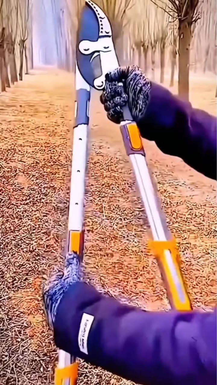 قوّي أداءك في العناية بحديقتك 🌿

تصميم مريح، شفرة حادة، وهيكل قابل للتمديد ليوصل حتى الأغصان البعيدة 🍃

خفيف الوزن ويمنحك تحكم ممتاز أثناء العمل.

اختصر الجهد وخلّ الحديقة دومًا بأجمل شكل 🌳 بغداد, العراق


**إذا كنت صاحب هذا الإعلان وتريد حذفه لأي سبب، رجاءا أرسل رسالة إلى الدعم الفني**