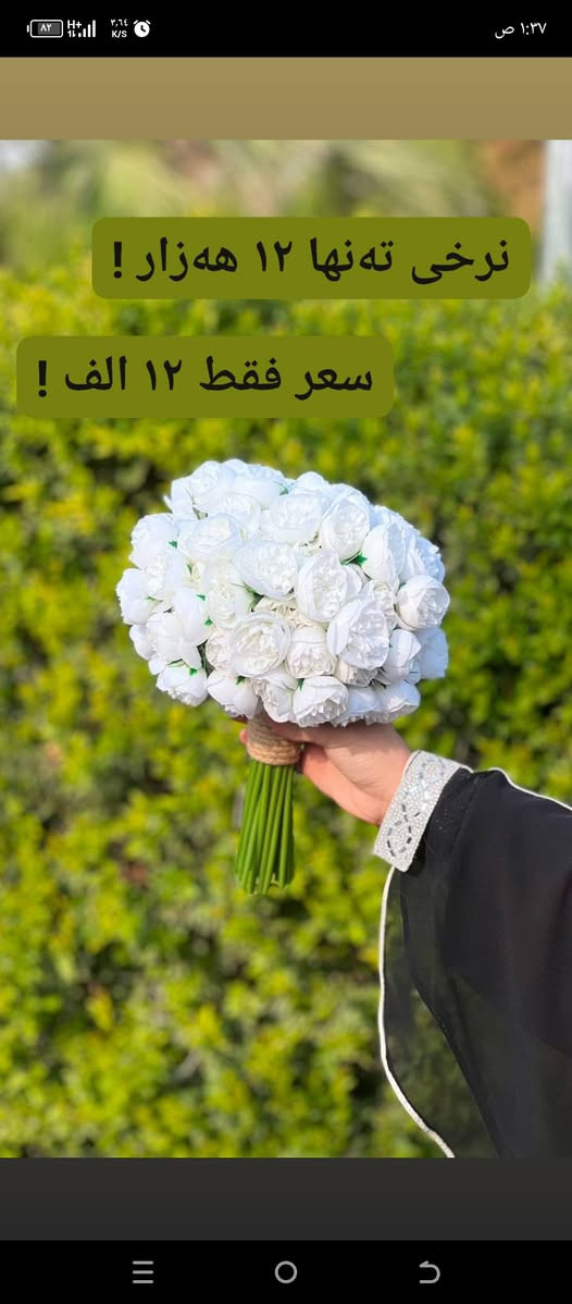 سلام علیکم
متوفر کل الاسعار حسب الطلب 🌹متوفر ارقى واجمل موديلات 💐بأسعار تنافسية


**إذا كنت صاحب هذا الإعلان وتريد حذفه لأي سبب، رجاءا أرسل رسالة إلى الدعم الفني**