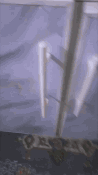 مرمر طبيعي وثكيل تفصال مو سوكي سعر ٣٠٠ ٤ قطع ***********
