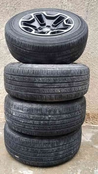 ويل كب رياضي • نضيف • بلا لحيم