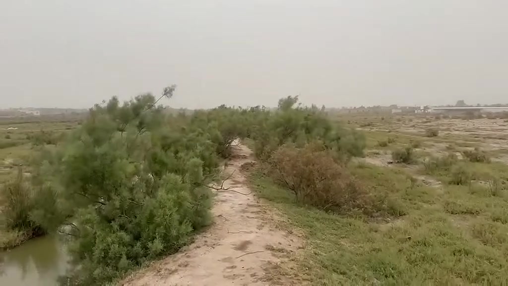 دوانم عدد 5 زراعي للبيع موقع مميز مكان يصلح زراعه أو سكني منطقه سكنيه طريق سوق فضليه نزله مدرسه الإمام الحسن المجتبى سعر دونم جدا مناسب
***********
