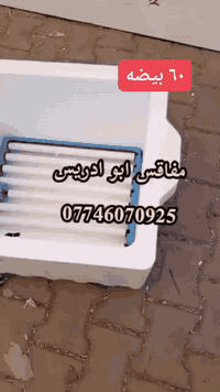 يالله اليوم نزلت الكم عرض تخفيض فقاسات فلين تقليب اوتوماتيك مده خمسه ايام فقط وبعدها ترجع الاسعار لان كميه محدوده جدا
٦٠ بيضه تقليب اوتوماتيك سعر ٨٥ توصيل مجاني
١٢٠ بيضه تقليب اوتوماتيك سعر ١١٥ توصيل مجاني 
 للحجز على الواتساب *********** اوعلى الخاص 
مفاقس ابو ادريس
