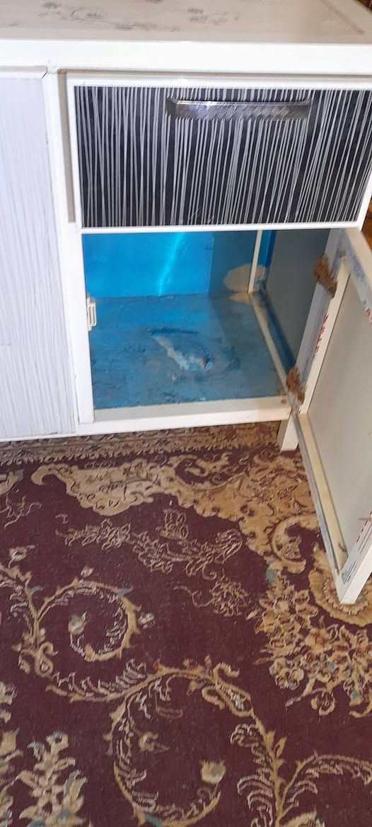 سلام عليكم 
كاونتر المنيوم نضيف السعر 125 حله الورديه


**إذا كنت صاحب هذا الإعلان وتريد حذفه لأي سبب، رجاءا أرسل رسالة إلى الدعم الفني**