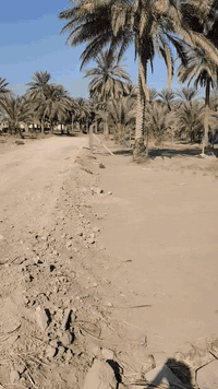 طابو صرف زراعي سند 25 باقي آخر قطعتين
كل الخدمات كهرباء مي تبليط خلف الجامعه الاسلاميه مباشر
اندللك بالعروض مكان بعيد عن الضوضاء هدوء أمن لمستقبلك ومستقبل أولادك سكن قريبا على  الجامعات
والمدارس
ما عليك بس تتصل على الرقم
***********
