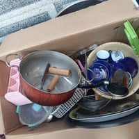 نواعم • شلعه • وحدة