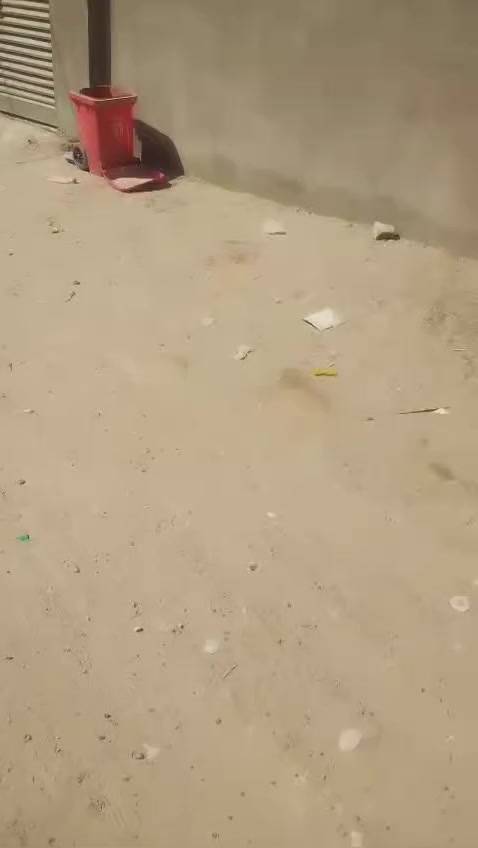 السلام عليكم دار لبيع مساحه 250متر شارع الصب مقابيل قريه الغدير خلف المطحنه الرحاب عقد زراعي قرار 117خاضع لتطويب  لتفاصيل أكثر اتصال على هذا رقم بي واتساب *********** السعر 60مليون وبي مجال بسيط
