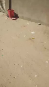 ٢٥٠م • عقد زراعي • الرحاب