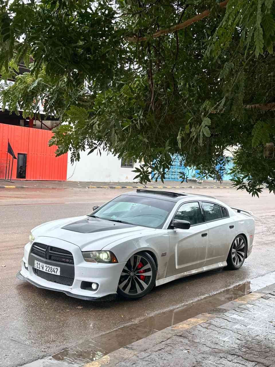 جارجر  2014هيمي ارتي ماكس فووووول
اعلى فئة ارتي  _RT MAX_  فول هوائيات 

عليه هدرز لونك 

شوته afa 

دبات سود 

بوري 3 انج تفصال

دبات سود موبار اس ارتي 

————————————————————

السعر175 فقط اعتذر من كل مراوس

لون ابيض 

السيارة حادثه فقط بارد كفاله من الصبغ وتبديل 

 

*********** مكاني نجف الاشرف

السيارة مصروف عليه كلش هواي بدون نقص 

رجأاً بس الشري يتصل المو شراي ليتعبني

غير متواجد عل فيس اعتذر من الخاص

————————————————————

-كت كامل اس ارتي 

-فتحة 

-كراسي جلد  - رياضي - تبريد تدفئه 

-رادار جانبي نقطة العمياء مع مصابيح LED

-مري قلاب 

- لايتات زينون ناصي 

- كشنات فول كهرباء مع خزن ميموري 

-  ستيرن كهربائي الحركة مع سكليتر كهربائي الحركة

-كاميرا خلفية + حساسات 

-سستم صوت بيتس مع دمام مكان سياره نجف سعر 175 وبيه مجال
