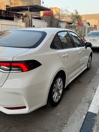 كورلا • ٢٠٢٥ • كفالة عامة
