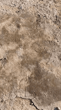 سلام عليكم سابه مديل 2012 مكينه وكير جدد كهربايات كله شغاله العداديه نص عمر سعر ٢٥وبيه مجال ***********.........
