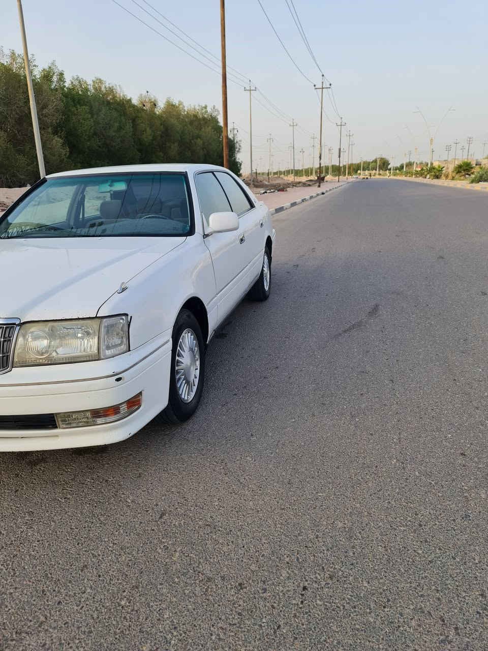 السلام عليكم راس الثور لبيع كفاله 
استفسار ***********
