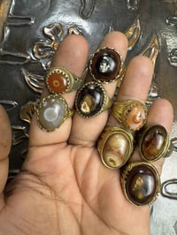 عرض • ٢ قطع • توصيل