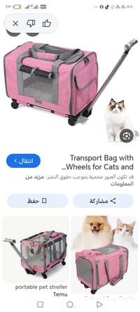جنطة قطط • توصيل