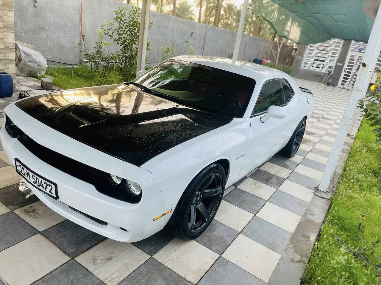 سلام عليكم
جالنجر موديل 2022 

محرك HeMi5.7

ماشيه 48الف مايل 

مواصفات :-كشنات مخمل وجلد شفتات ستيرن هيتر كشنات 

هيتر ستيرن وباقي المواصفات معروفه

الحادث جاملغ وبنيد فقط بدون شاصي بدون لغد اكفل الشواصي ولغود من جكه الابره من بارد من رش من خصره من اي شي  بشرط جكه ماكو 

السياره عليها تخم وياله وتايرات تو سايز جدد كارتون 

محرك وكير بشرط كفاله برغي واحد ممفتوح 

لاتات زنون دفيوزر هيلكات 

سبويلر ريد اي تضليل جام 

طبعا السياره ستوك حجر بيئه موجود ما ملعوب بي ولا مشيول 

اي سيرفس ما مشتغل عندك 

دشبول مبدل كامل اصلي هوه ولسستم مالته مال ايرباك 

حداديه وكاله ودبلات اربعه صفر بلاد شركه 

السياره كلش جديده وبالحقيقه كلش حلوه 

هزه جديده وسنويه كذالك 

السعر ١٩٥ وبيها مجال 

مكاني بابل 

***********
