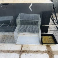 أقفاص طيور • ببغاوات • مقابل جامعة ديالى