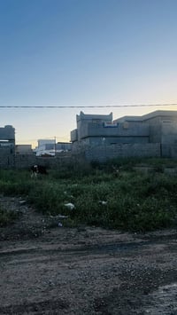 خلف الخضر يم الجامع • ٢٣٠م • واجهة ١٠