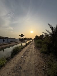 ‏سلام عليكم الف متر للبيع الواجهة 20 نزال 50 طابو زراعي سند 25 العنوان...