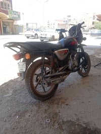 بوكسر • جبلي • ٢٠٢١