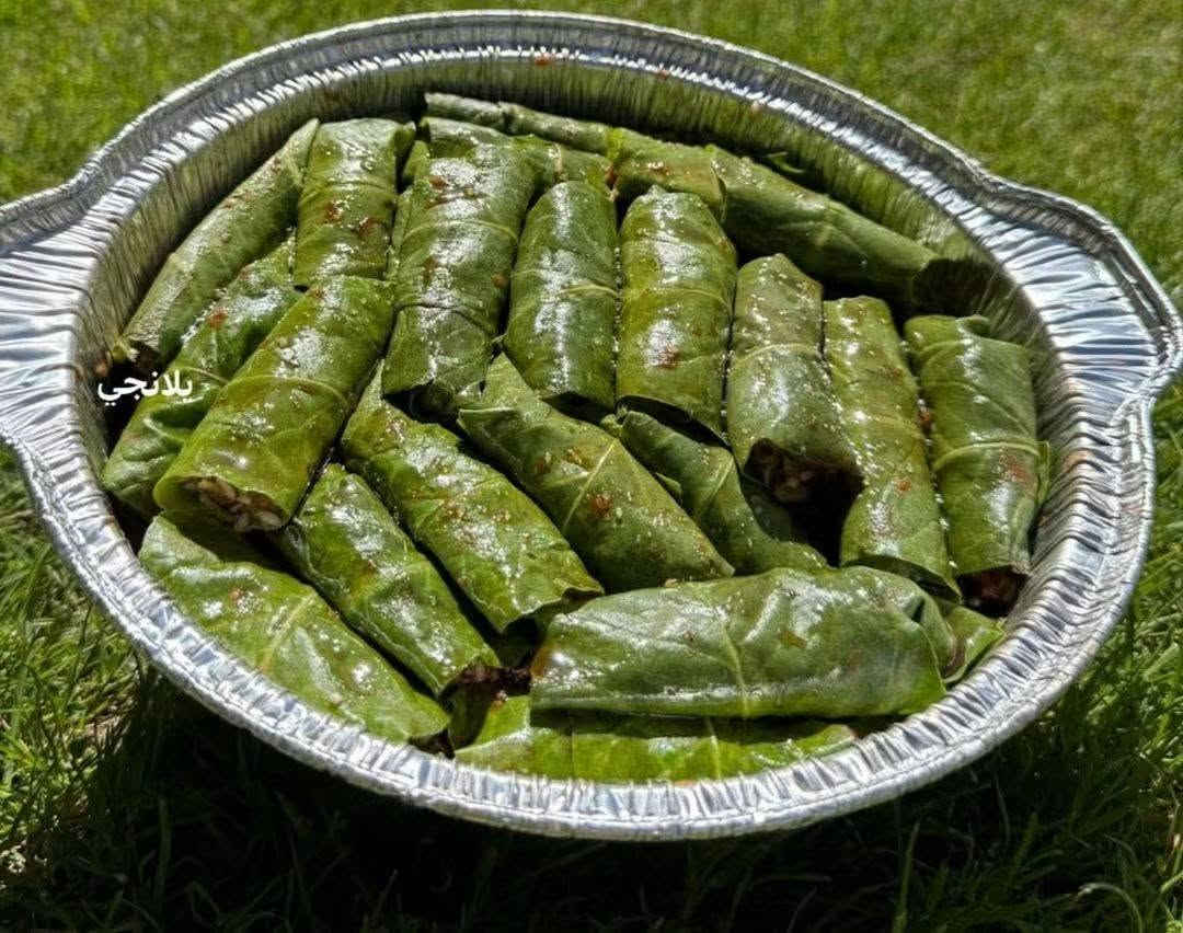 جمعة مباركة اليوم الخجز عالدولمة من عشاق الدولمة ان شاء الله عالحجز ***********
ويوجد توصيل المدائن
