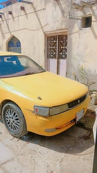 شيزر • مكفوله • تحويل ثاني يوم