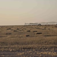 تبن • حجم ٩٠ • للبيع