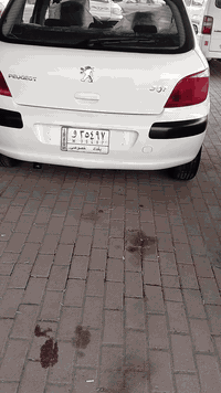 بيجو 2005 مصبوغة حزام بيه ظربه فوك الدوسه شبر ومصلحة كير مكينه صدر تخم...