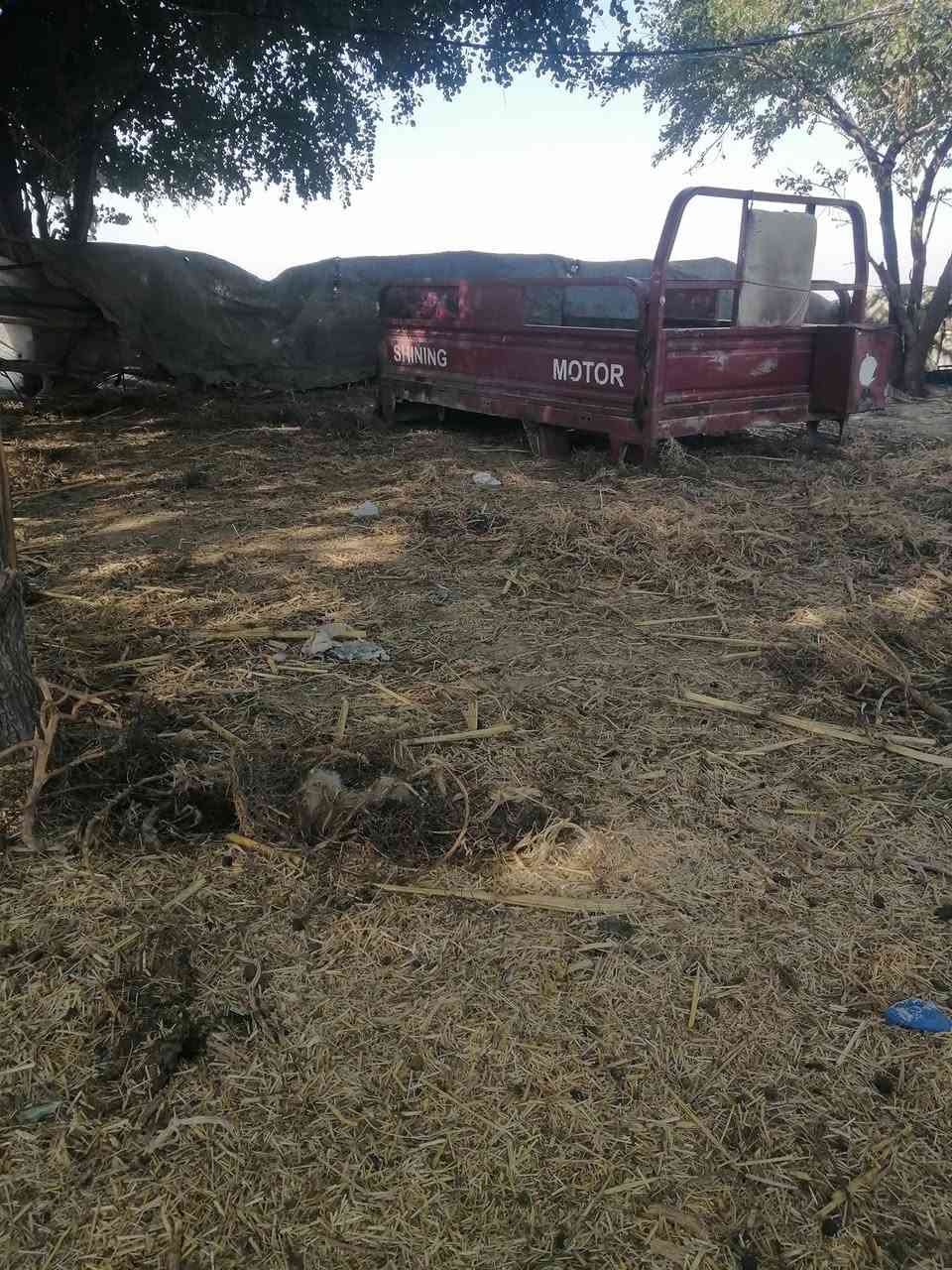 سلام عليكم ستوته للبيع كلك كلك محرك وشاصي اوكسن كفاله مكاني بابل الكفل *********** =***********
