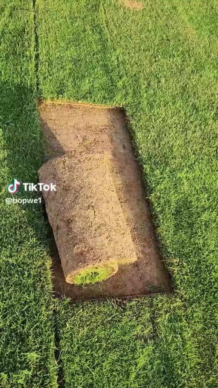 ثيل هندي درجة اولى توصيل جميع المحافظات لتواصل والاستفسار***********/***********
