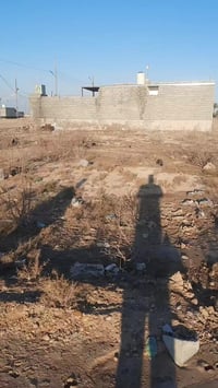 بعقوبة بهرز • ١٠٠م • طابو زراعي