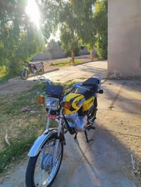 سكنس • ٢٠٢٥ • كفاله