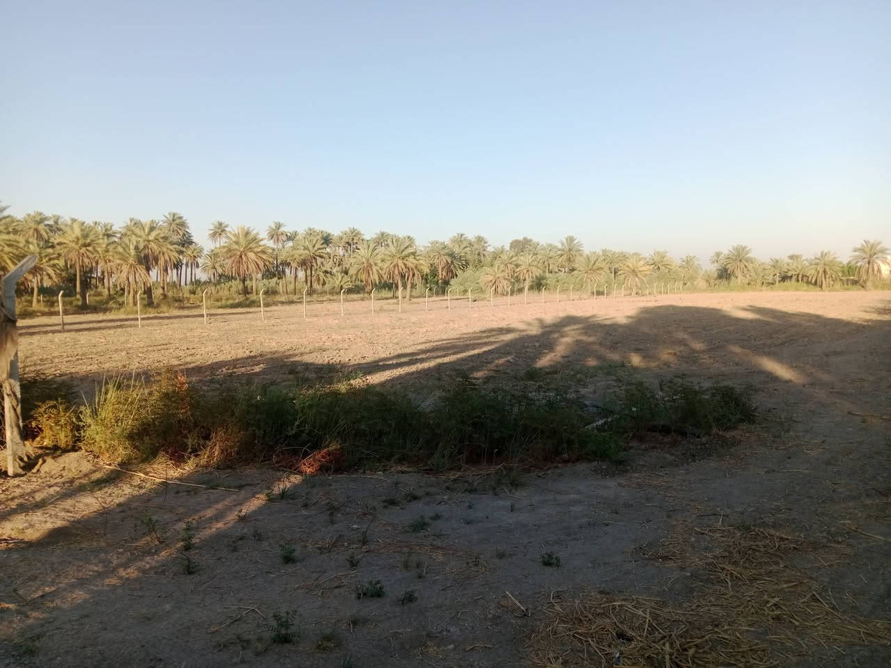 ارض زراعيه 4دونم للبيع
سند ٢٥ مسجل بالطابو المحموديه
تحويل مباشر
كافه الخدمات .ماء . كهرباء
يبعد عن التبليط ٢٠٠ متر 
شارع سبيس جديد لحد التبليط
مكان اليوسفيه بئر الحمام قرب مدرسه الفاضل 
سعر الدونم 70 مليون وبي مجال
***********
