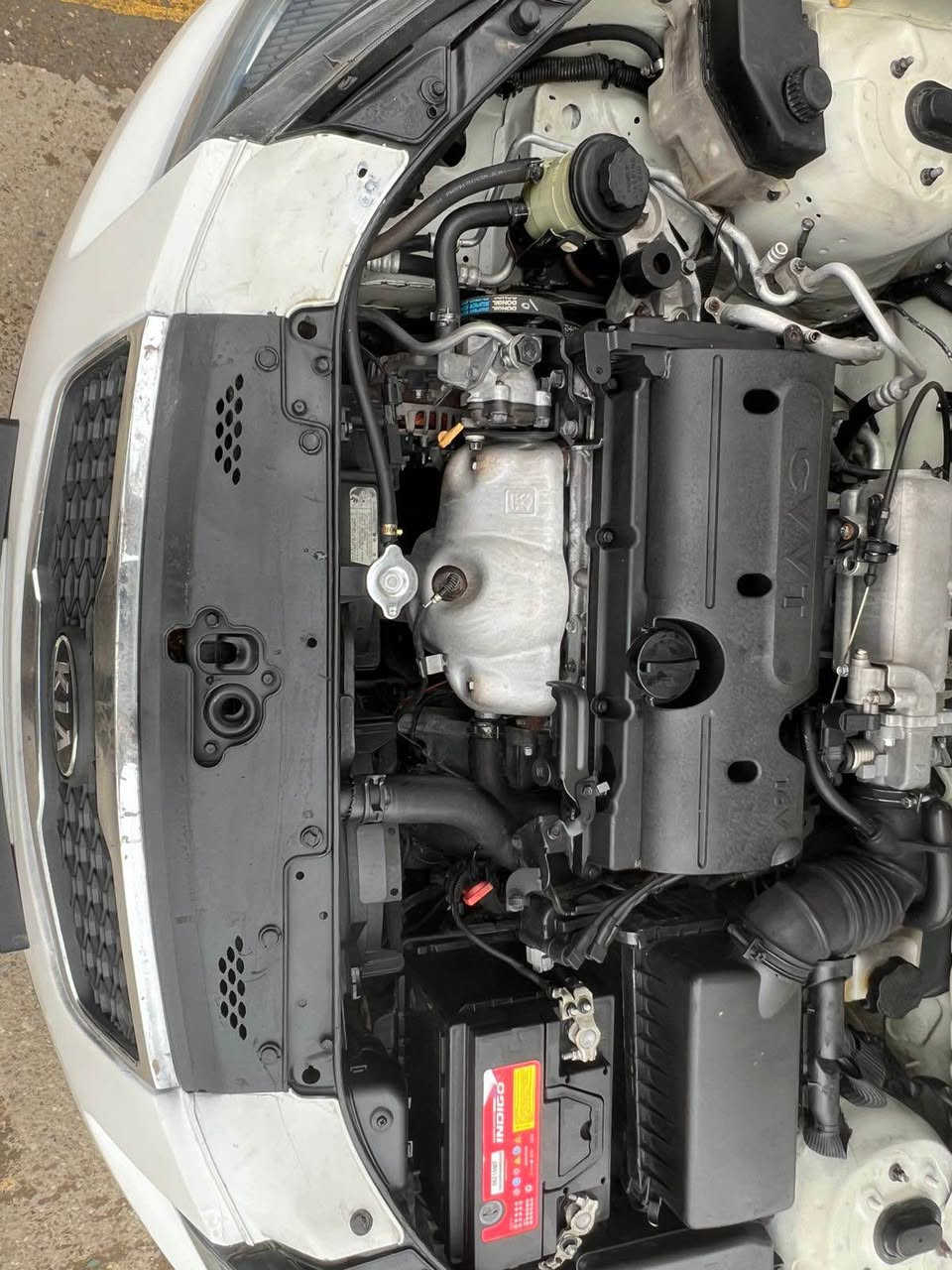 كيا ريو 2012
محرك 1600 
رقم بغداد دولي بسمي 
بيهة 3 قطع صبغ سونار داخل المنشور
جاهزة من كلشي العنوان ديالى بعقوبة 
السعر 84 بيهة مجال بصيط جدأ شرط التحويل 
*********** بعقوبة, ديالى
