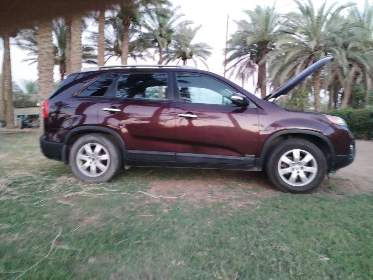 سورنتو 2012 وارد أمريكي ماشية 160 الف اربعة سلندر جي دي اي 2.4 شرط بدون صرف يعني مكينه كير مكفولات ضررها صبغ 3 قطع بنيد وجاملغين تبريد قطعتين  ثلج حساسات كاميرا  خمسة راكب صدرها سويته ماصار شهر مع تبديل دسكات اصلي سعرها ب 133 ورقة وبيها مجال
مكانها الصقلاوية
للأستفسار أكثر الاتصال 
*********** الفلوجة, الأنبار
