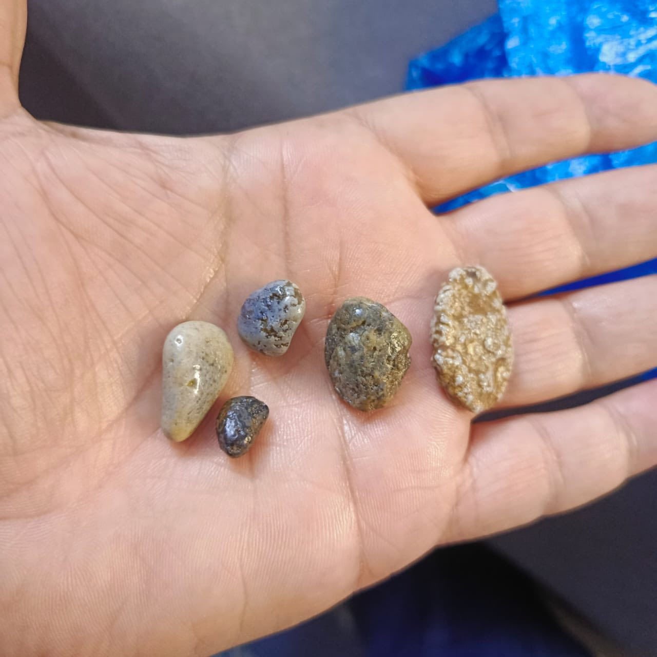 السلام علكيم / احجار ملاكط النباعي ذمه
فصوص يرهمن محابس 

يوجد توصيل لجميع المحافضات

***********واتس
