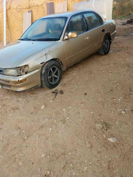 كورله للبيع مكفوله كص ونقل جثه واوصليات ومداور ثاني يوم سياره جاهزه عوزها بس صبغ مكفوله كير ومكينه وتخم تاير مكاني نجف مشخاب السعر 40بيها مجال اتصال ع رقم 

***********
