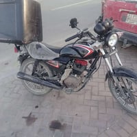 شاينك • ٢٠٢٥ • جديده