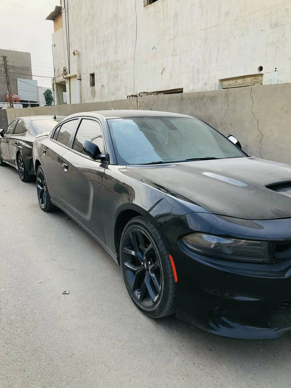 جارجر جي تي 2023 اصل سياره جاهزه بدون رقم تترقم جميع المحافظات
صور الحادث بلمنشور راديترات اصليات نفسهن ضربتهه صايره جوه ‏‪0784 155 8844‬‏ مكلف بلنشر اتصل
