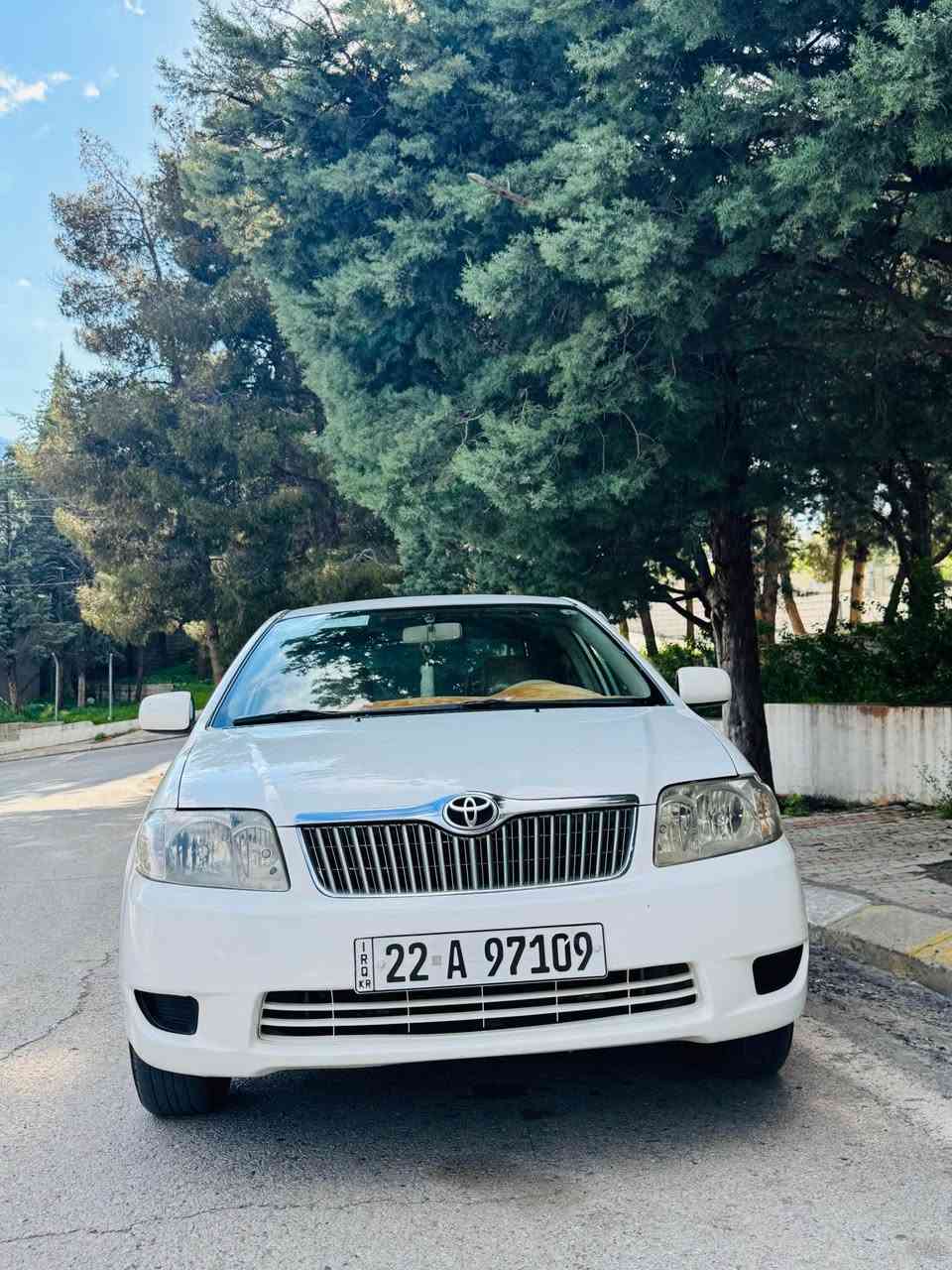 ‎تۆیۆتا کرۆلا مۆدیل2005 بۆفرۆشتن
‎مەکینە گەورەو گێر حادیە(ABS)
‎سەیارەکە  هیج  هیج نیە 
‎لەوەتەی 2005 لەکەنە خۆمانە یەک دەستە دەحامیشی بێ بۆیاخە
‎هەموو گیانی لەسەر دەقی شیەریکە
‎ماوەتەوە   قەپو قۆپی هیج هیجی نیە 
‎لەهەموو گیانی بگەری یەک قەپی نیە تای نوی لەژێرە سپێری دانەبەزیوە تەنجیل کاسکێتی شەریکە لەسەر ماوە  تەنها نەرمە تەزریکی زۆر کەمی هیە 
‎  مەکینە نەکراوەتەوە هەموو گیانی بەشەرتە تەقەو رەقەی نیە نرخ 105 مەجال 
 
‎ژ.م؛ *********** أربيل, العراق
